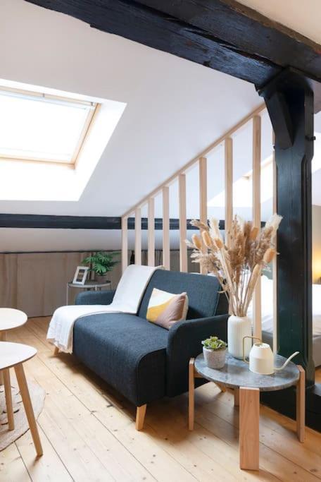 Le Cosy Du Pont Mouja Apartment Nancy Ngoại thất bức ảnh